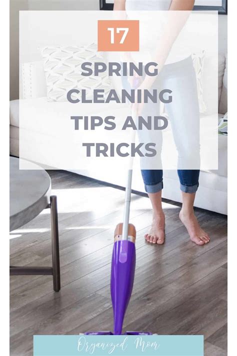 17 Awesome Spring Cleaning Tips and Tricks – The Organized Mom