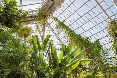 Palm House: A Stunning Great Conservatory In Liverpool