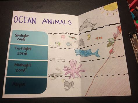 Layers Of The Ocean Worksheet