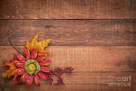 Barn Wood Background With Fall Decoration Photograph by Marek Uliasz - Fine Art America