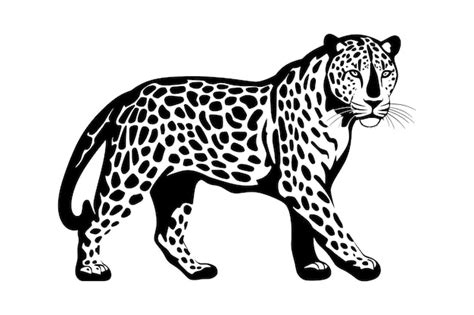 Premium Vector | Jaguar silhouette isolated on white background vector illustration