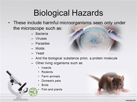 What are Biological Hazards? - Rapid Response