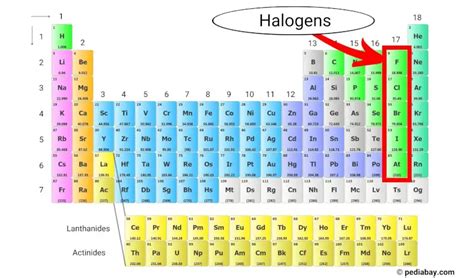 Halogens of the Periodic Table - Pediabay