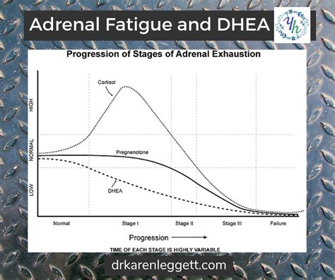 Adrenal Gland Fatigue Stages