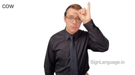 cow in ASL - Example # 3 - American Sign Language