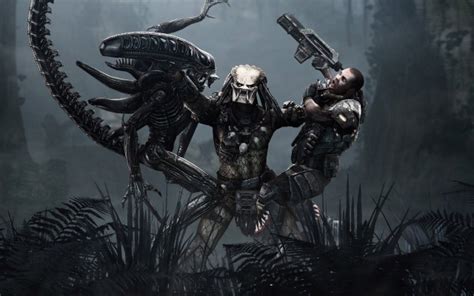 Predator Xenomorph Predator Wallpaper - Aliens Vs Predator - 1920x1080 Wallpaper - teahub.io