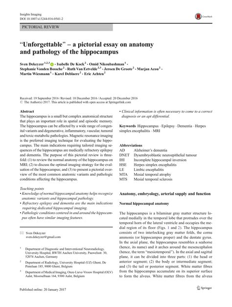 Hippocampus anatomy histology subiiculum - speedmommy