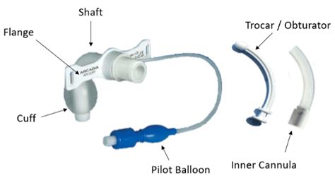 Types Of Tracheostomy Tubes Review