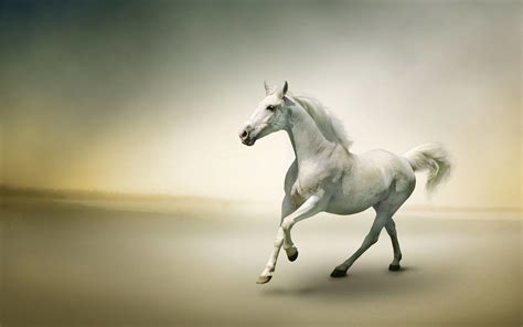 White Horse Wallpapers - Top Free White Horse Backgrounds - WallpaperAccess