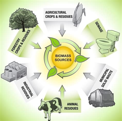 Biomass Energy in Jordan | EcoMENA