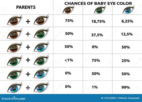 eyecolorpredict eye color chart genetics eye color chart baby eye - eye color genetics chart eye ...