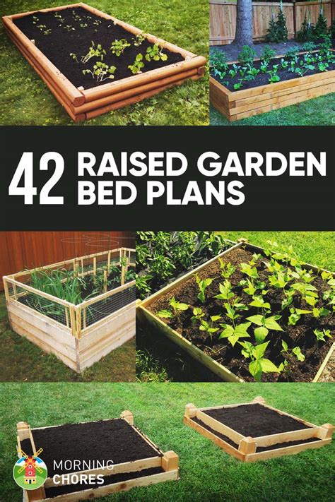 Garden Layout Raised Beds