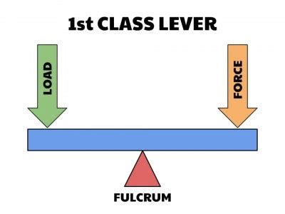 15 First Class Lever Examples - The Boffins Portal