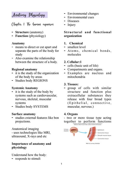 SOLUTION: Anatomy and physiology notes first year nursing - Studypool