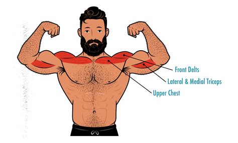 The Close-Grip Bench Press Guide – Outlift