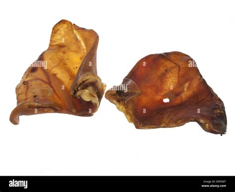 pig ears on a white background Stock Photo - Alamy