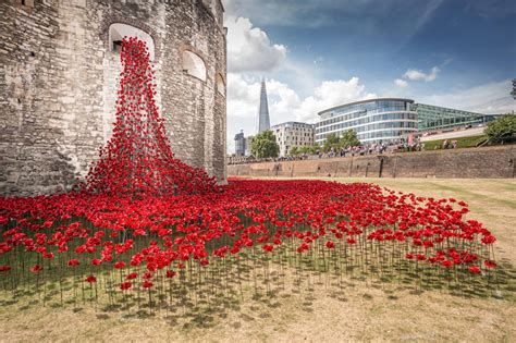 888,246 Ceramic Poppies to Commemorate Fallen Soldiers in WW1