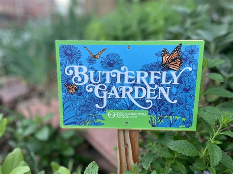 Butterfly Garden Kit – Environmental Action Shop