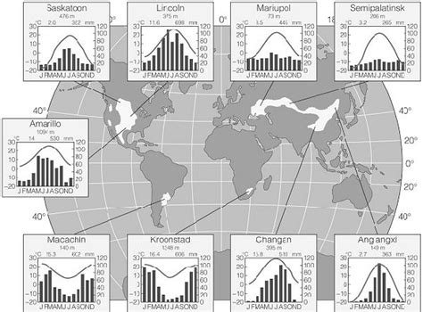 Temperate Grassland Climate Graph