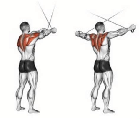 The Cable Rear Delt Fly | How To Maximize This Rear Delt Exercise! | Shoulder workout routine ...