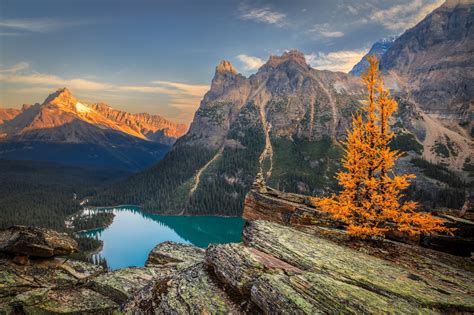 Mountains Scenery Autumn Lake Canada Parks Crag Yoho Lake O'Hara Nature wallpaper | 2048x1364 ...