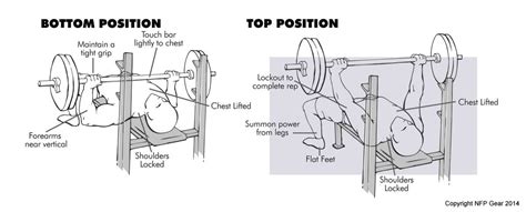 Bench Press Chart Age Weight