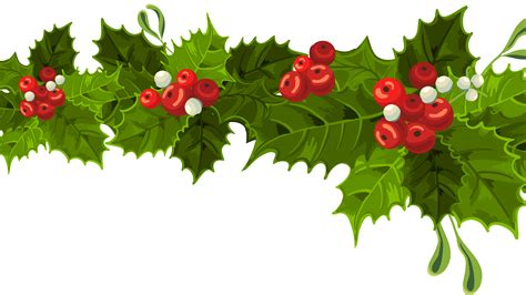 transparent mistletoe clipart - Clip Art Library