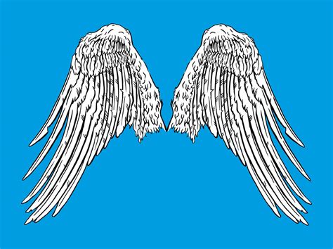 Angel Wings Graphics Vector Art & Graphics | freevector.com