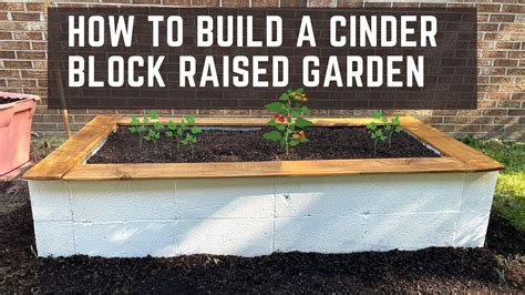 How To Make A Raised Garden Bed With Cinder Blocks | Fasci Garden