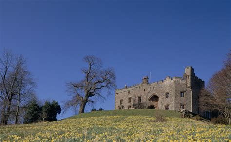 Muncaster Castle | Sights & Attractions | 20% off with Smartsave