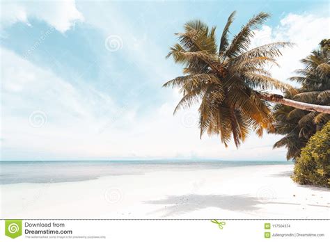 Tropical Beach in Seychelles Stock Photo - Image of exotic, mahacopy: 117504374