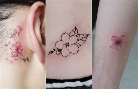 Meaning Of Cherry Blossom Flower Tattoo | Best Flower Site