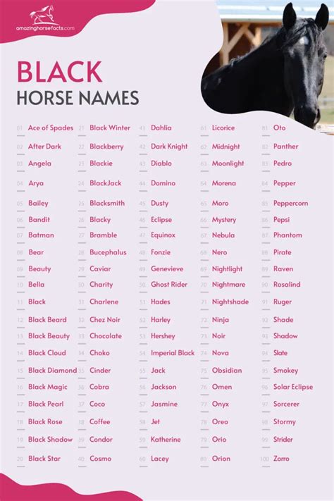 Black Horse Names (866 Great Choices For Your Dark Beauty)