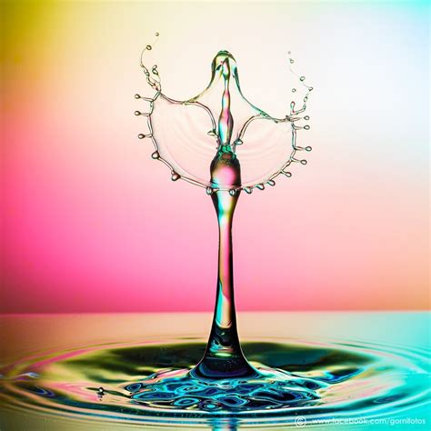 Water Droplet Photography Guide: 17 Tips