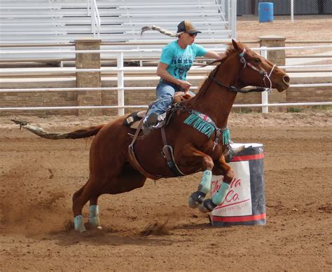 Barrel Racing Round 4 Nfr 2024 - Lori Sileas