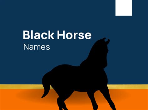 1060+ Black Horse Names For Magnificent Dark Stallion! (+Generator)