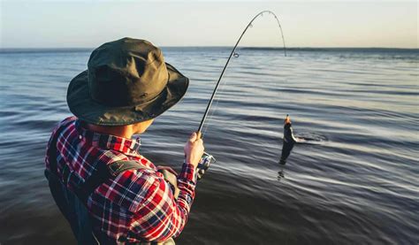 Types of Fishing Rods: A Primer for Beginners - AquaViews