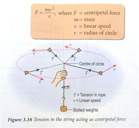 Centripetal Force Lab Diagram