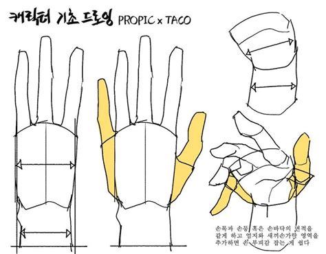 Pin by JHON CHENA on To Do now | Anatomy tutorial, Hand drawing reference, Hand reference