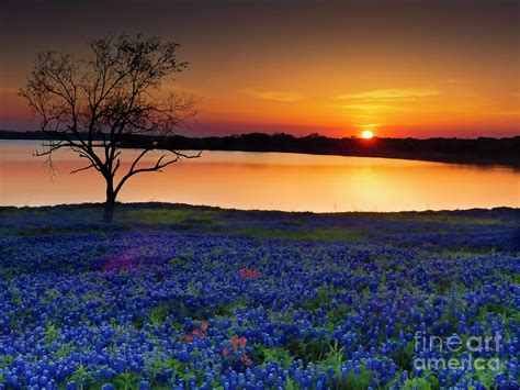 Sunset at Bardwell Lake, Ennis TX Photograph by Teri Adsit