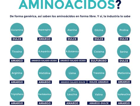 ¿A qué saben los aminoácidos en forma libre? - Alimentologia