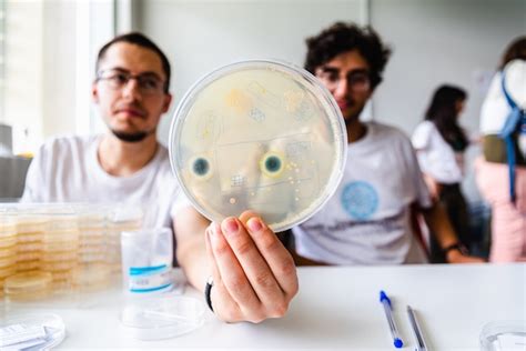 Two research scientists hold a petri dish with bacterial growth during an experiment. | Premium ...