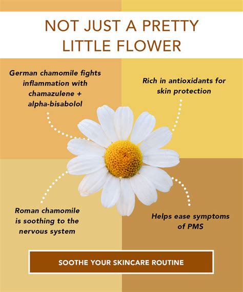 Skin Benefits of Chamomile