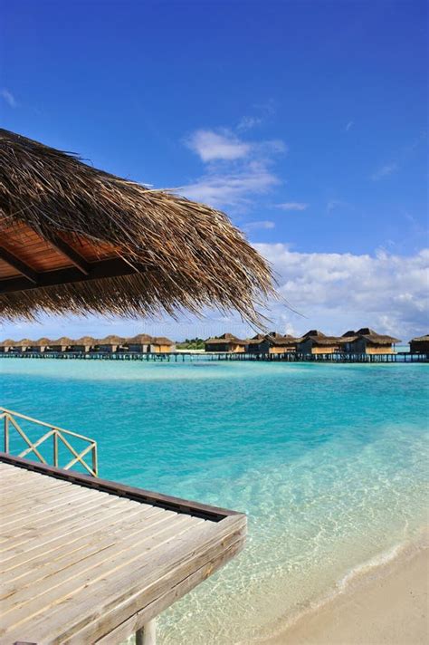 Maldives beach scene stock photo. Image of relaxation - 17703250