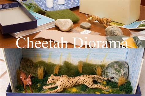 Cheetah Habitat Diorama