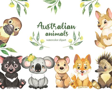 Australian Animals Watercolor Clipart. Little Animal - Etsy