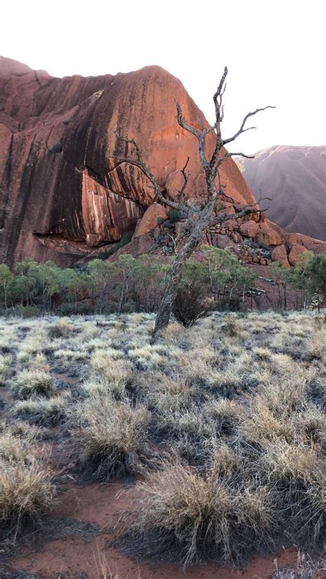 Outback in Australia (Uluru) : pics