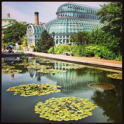 The Brooklyn Botanic Garden: A Nature Lover's Paradise – Artourney