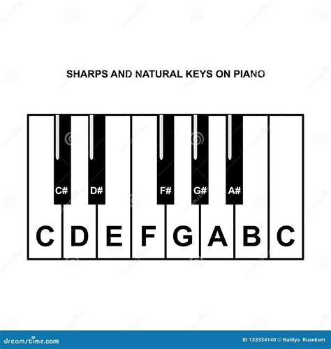 Piano Chords or Piano Key Notes Chart on White Background Vector Stock Vector - Illustration of ...