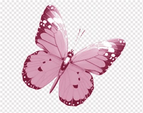 Butterfly Drawing Pink, watercolor butterfly, brush Footed Butterfly, violet, insects png | PNGWing